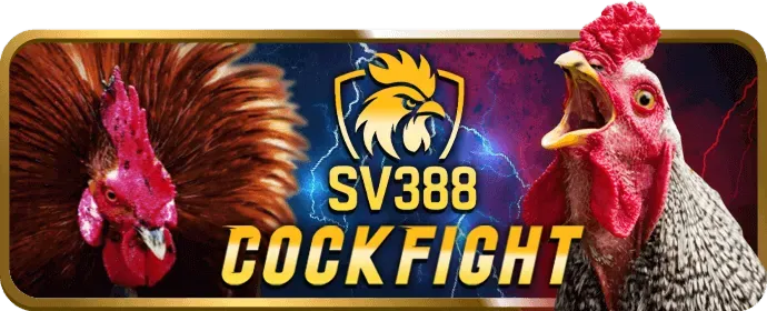Đặc quyền VIP asia99